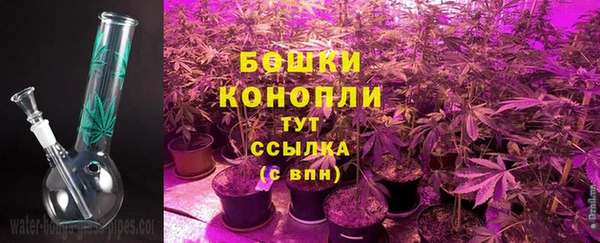 дмт Россошь