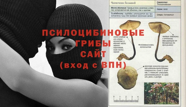 мдма Ростов