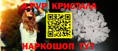 меф Кингисепп