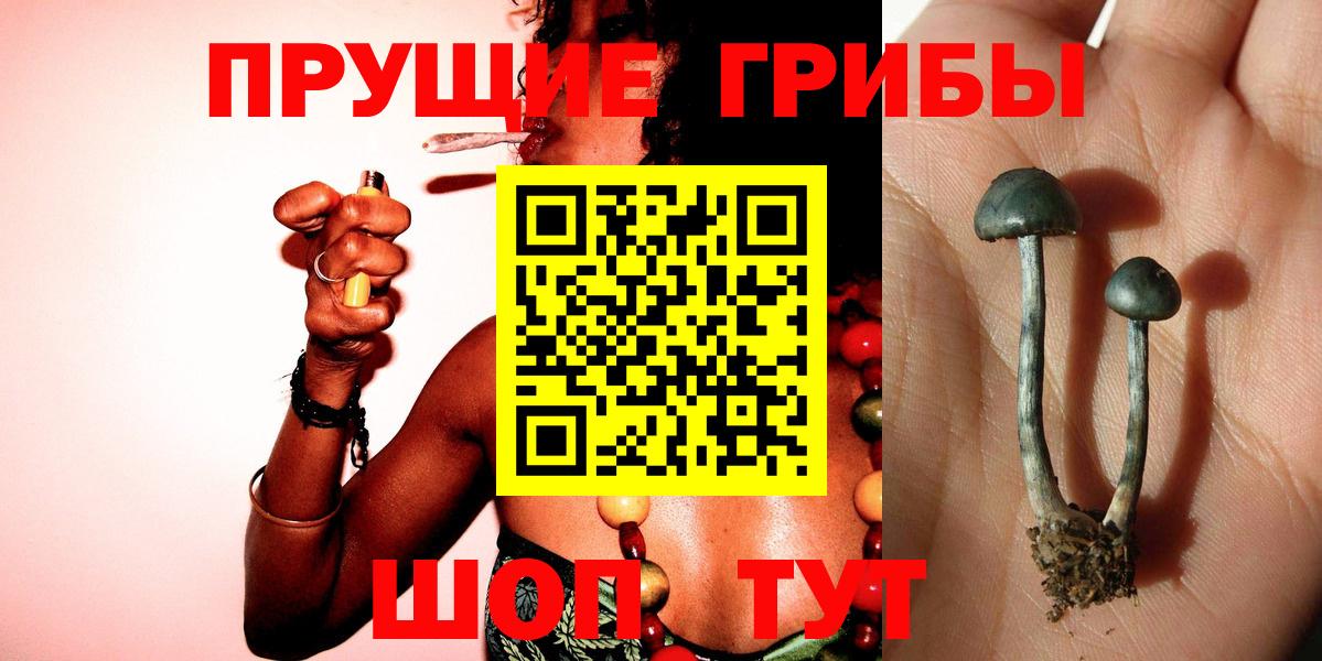 Галлюциногенные грибы GOLDEN TEACHER Славгород