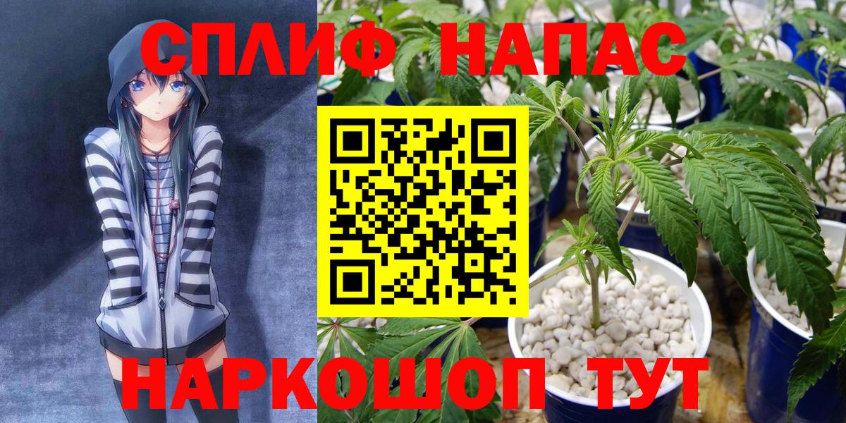 Бошки Шишки Amnesia  Марихуана ГИДРОПОН  Славгород  Бошки Шишки Ganja  Вход с VPN 